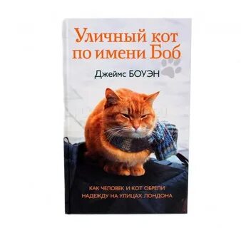 Книга уличный кот