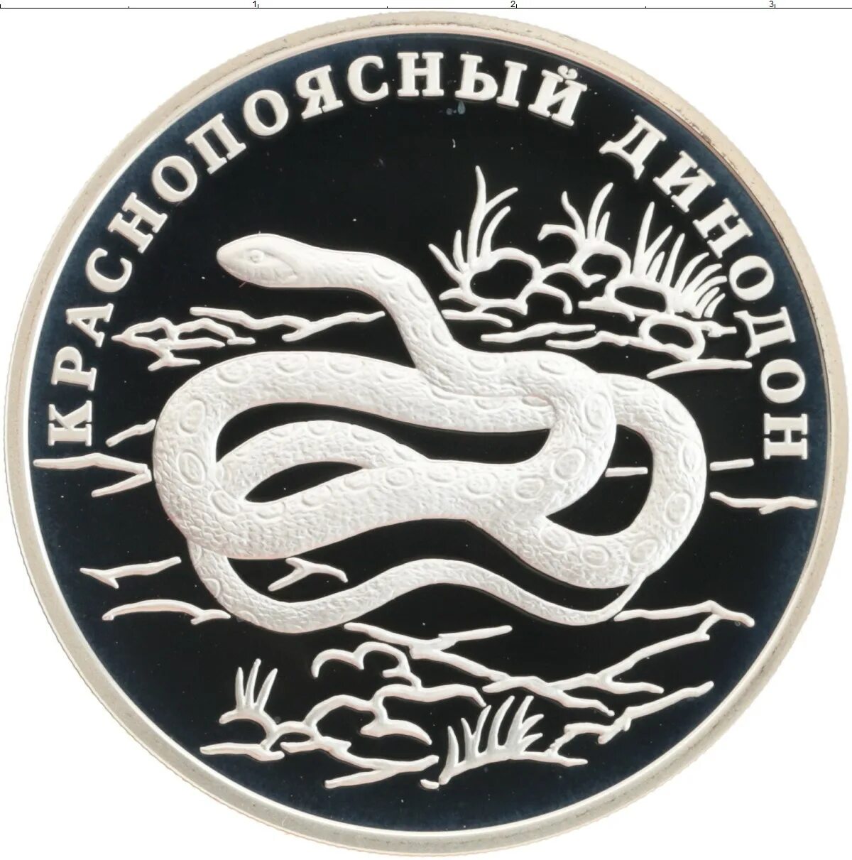 1 Рубль 2007 года Краснопоясный динодон. Длинный рубль из серебра. Монета 700 лет российскому рублю 24.9гр.