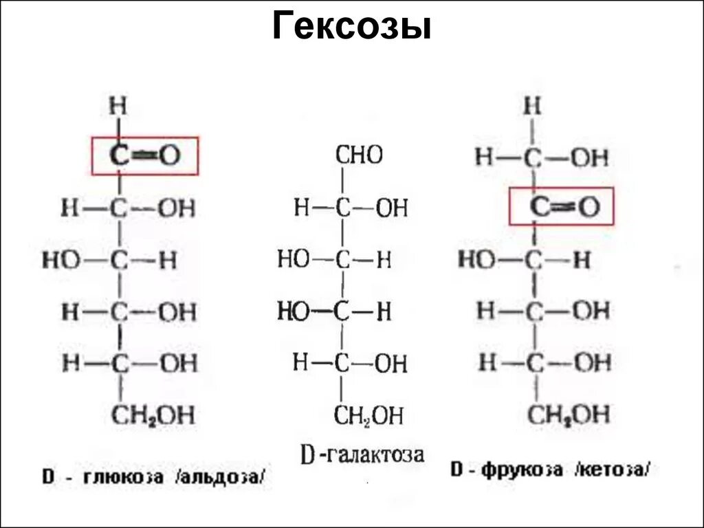 Гексоза это