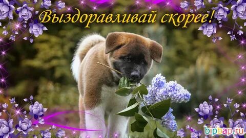 Фото с выздоровлением