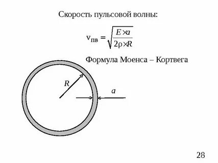 Скорость 28