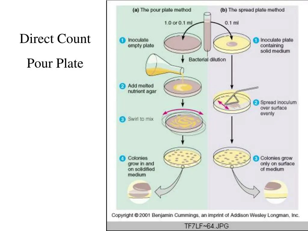 Метод Виньяль-Вейона. Метод Вейон Виньяля микробиология. Spread Plate method. Methods of Microbiology. Is the only method