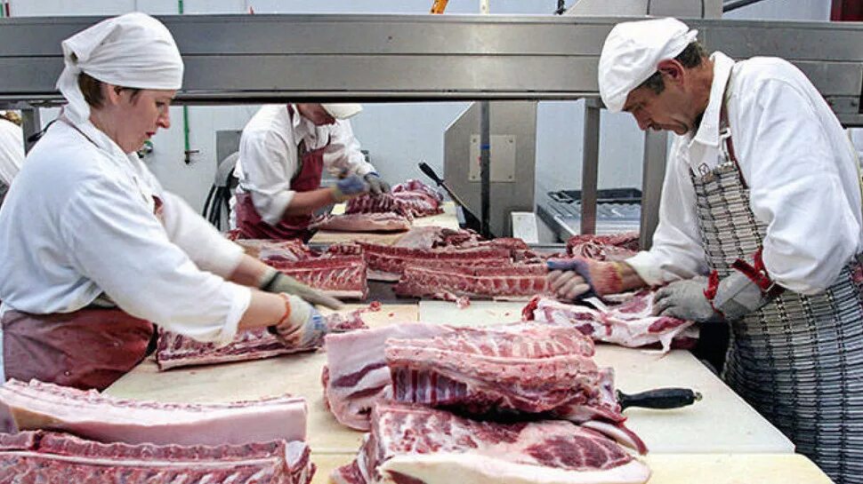 Требования к мясоперерабатывающим предприятиям