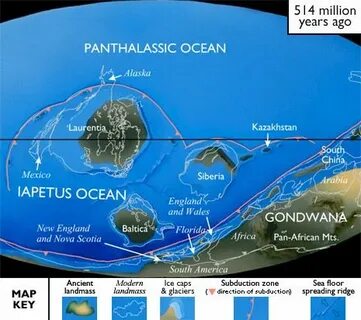 Ocean form
