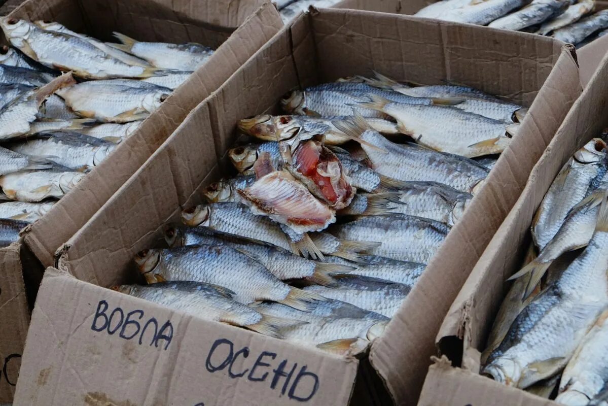 Продажа б у астрахань. Рыбный рынок в Астрахани. Селенские Исады Астрахань рыбный рынок. Астраханский рынок рыбы. Астрахань рыбалка рынок.