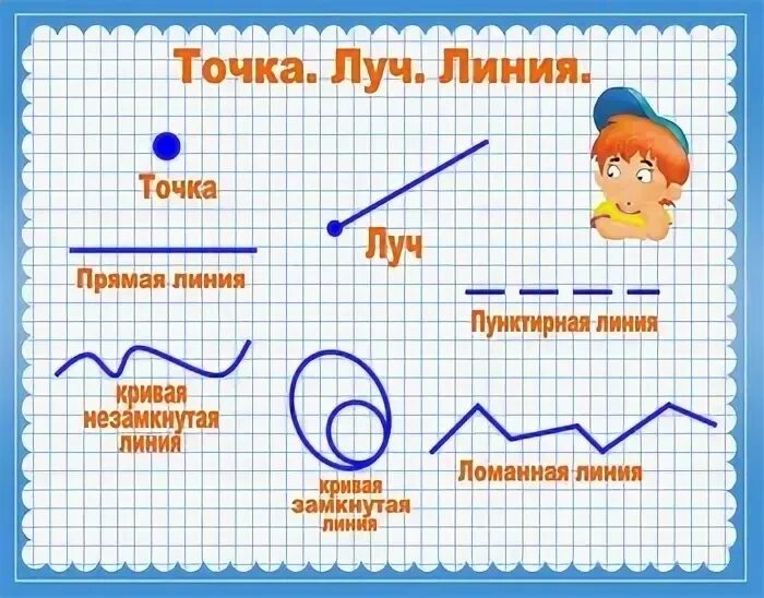 Линия прямая линия кривая 1 класс. Точка кривая линия прямая линия отрезок Луч. Кривая и прямая линии Луч отрезок ломаная. Ломаная отрезок Луч прямая 1 класс. Точка кривая линия прямая линия отрезок Луч 1 класс.