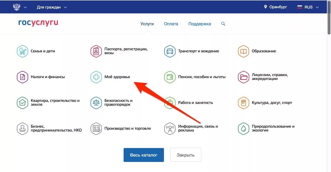 Пушкинская карта в госуслугах. Госуслуги прикрепление к поликлинике. Госуслуги прикрепление ребенка к поликлинике. Прикрепить ребенка на госуслугах.