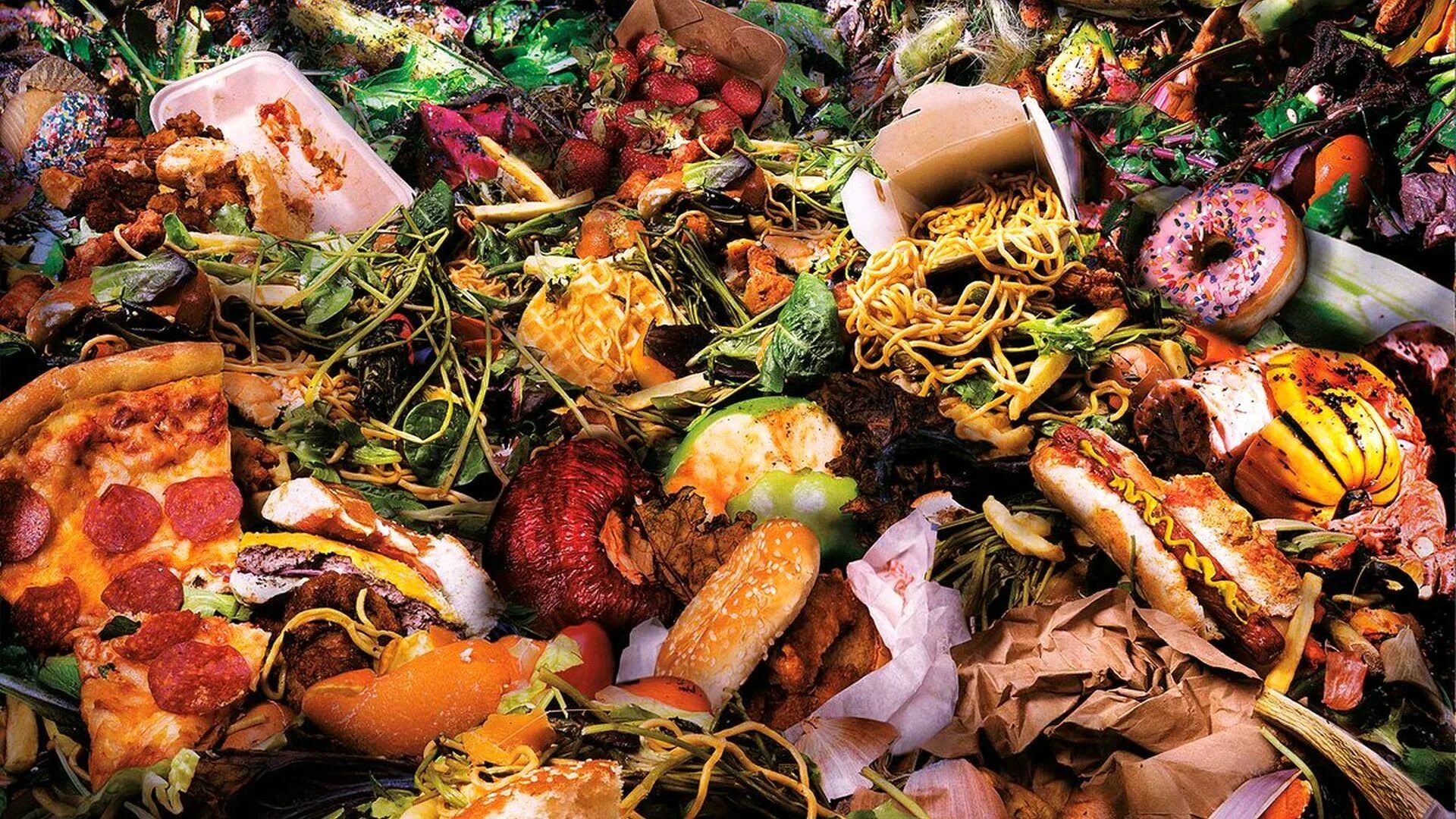 Пищевые отходы. Для пищевых отходов. Органические отходы. Выброшенные продукты.