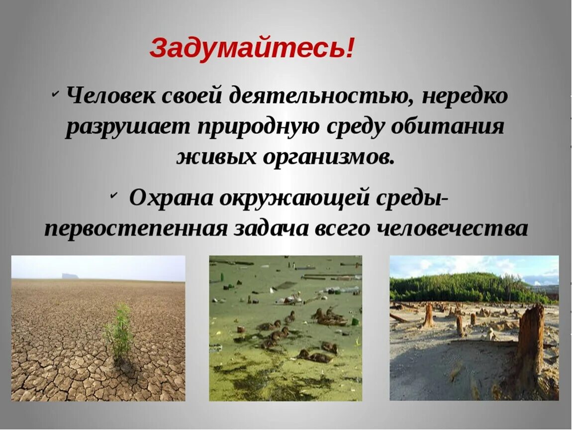 Влияние среды обитания. Воздействие среды на человека. Влияние людей на природу среду обитания. Среды обитания живых организмов.