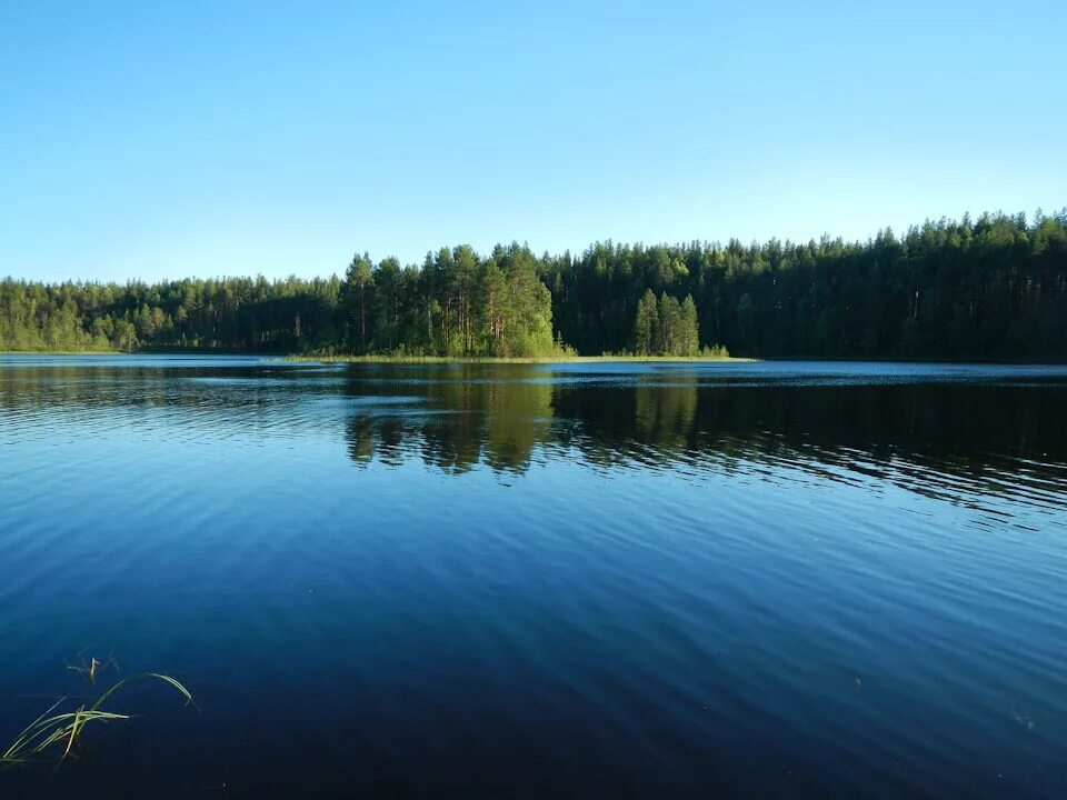 Озеро сенеж. Озера в озерках спб. Ирганайское водохранилище шамилькала. Обои на робочий стіл природа. Пруд 17.