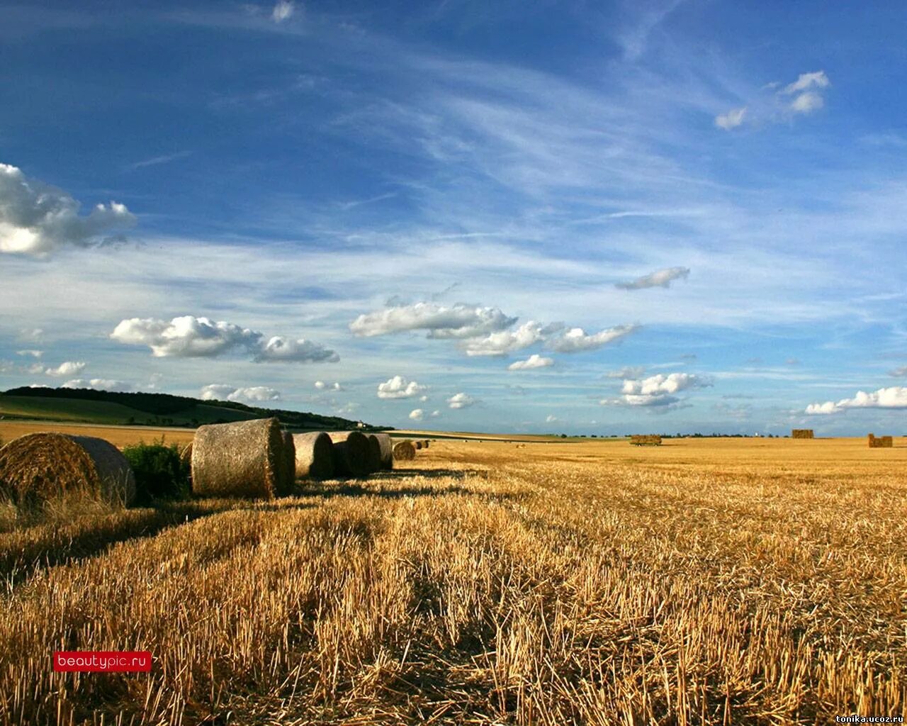 Цели использования земель сельскохозяйственного назначения. Сельскохозяйства удмуртии. Земли сельскох назначения. Аренда земель сельскохозяйственного назначения. Оценка земли в сельском хох.