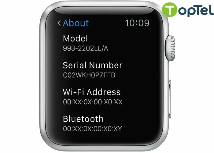 Серийный номер Эппл вотч. Серийный номер часов Apple. IMEI Apple watch. Серийник АПЛ вотч. Проверить номер часов apple