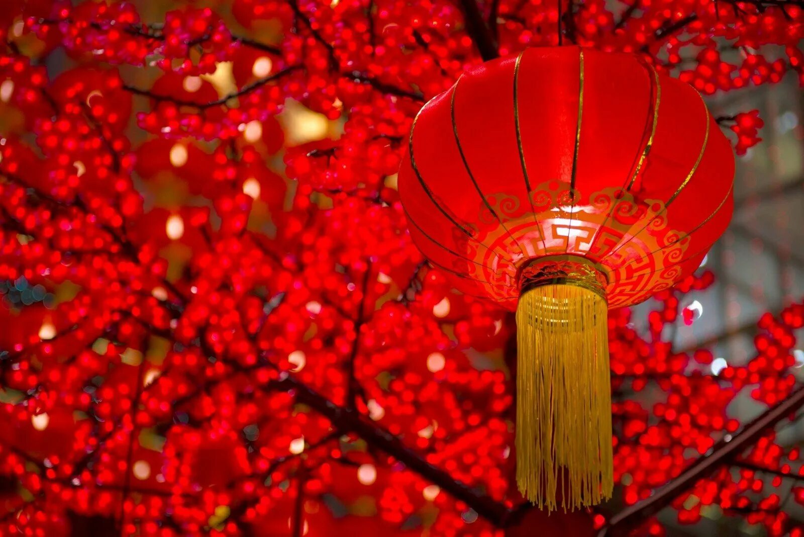 Как будет китайский красный. Китайский новый год (Chinese New year). Китайский фонарь. Новый год в Японии. Китайские фонарики.