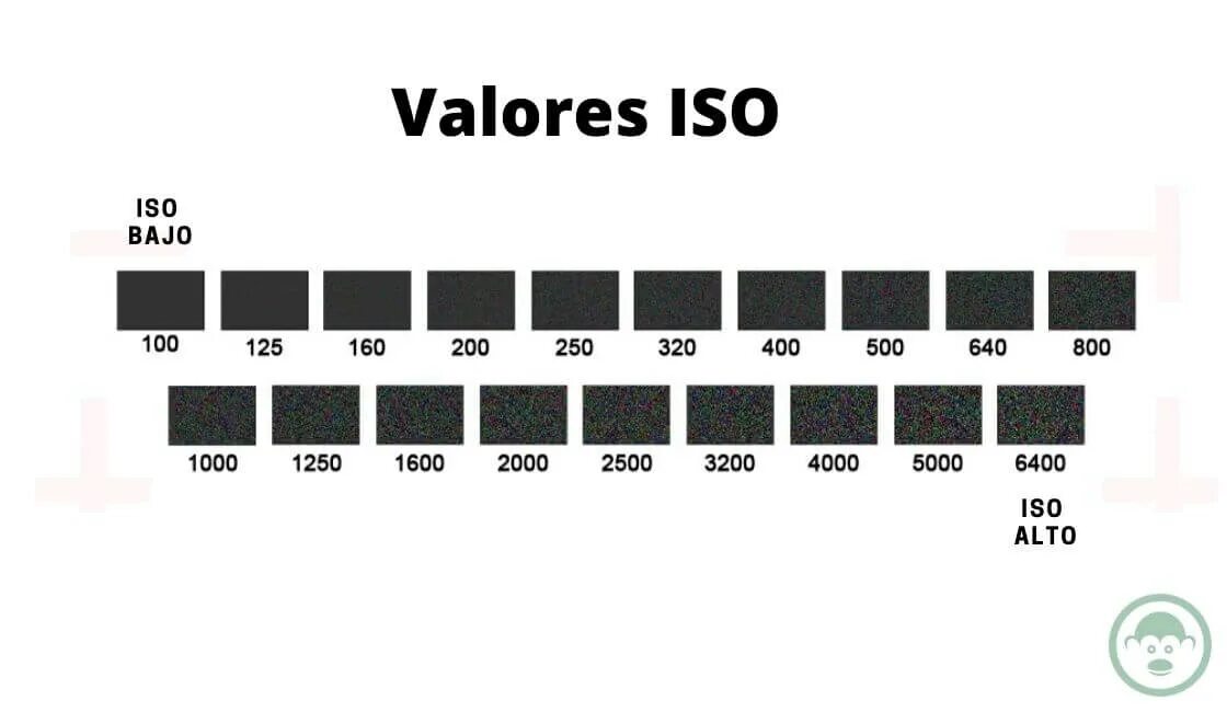 ISO 400. Что такое ИСО В фотоаппарате. Пленка 100 ИСО И 400 ИСО катушки. ISO В фотографии.