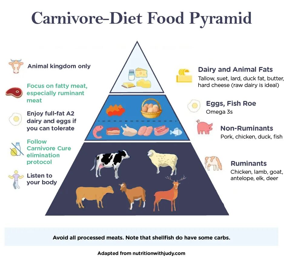 Carnivore Diet. Carnivore Diet Plate. Карнивор диета. Карнивор диета меню