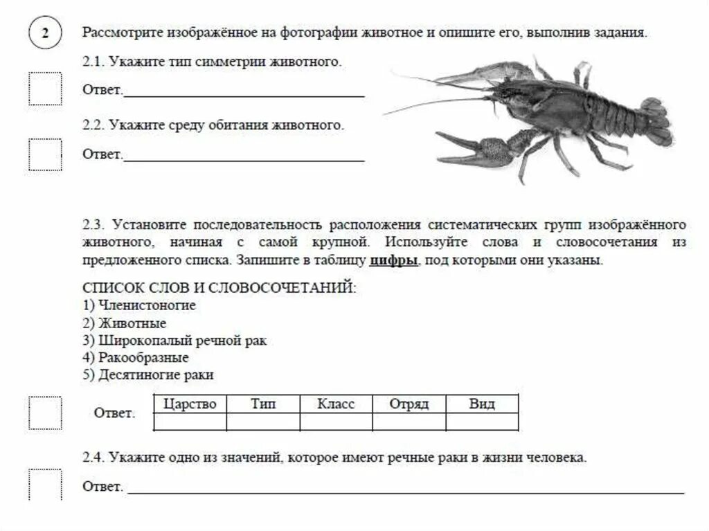 Укажите тип симметрии животного укажите среду. Укажите Тип симметрии животного. Рассмотри фотографию и выполни задание. Укажите Тип симметрии и среду обитания животного.. Рассмотрим изображения животных..