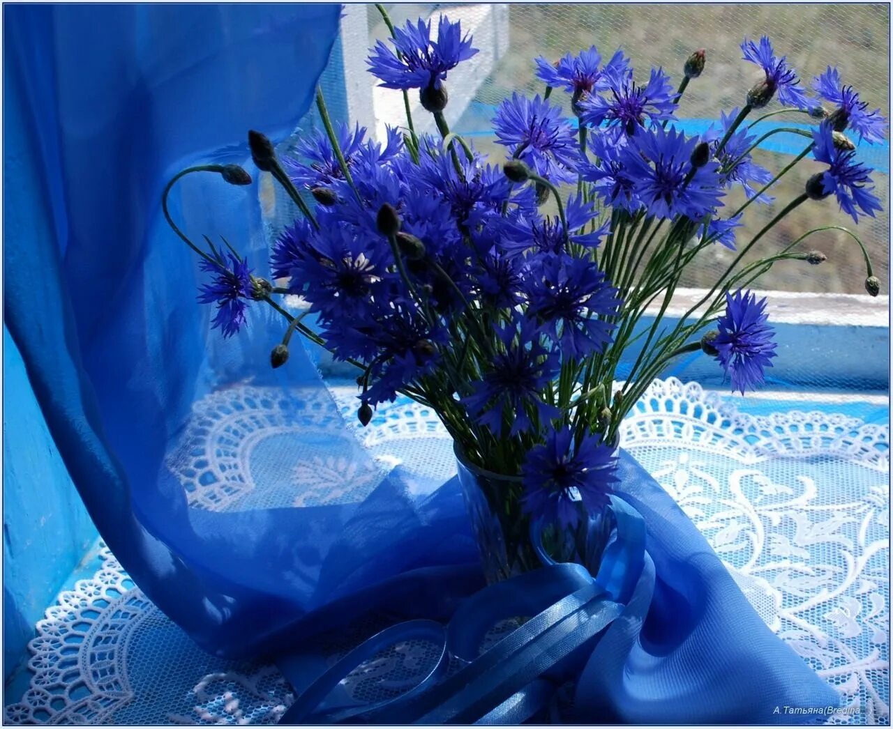 Синий день. Васильки. Букет синих полевых цветов. Открытки с васильками. С днем рождения цветы васильки.
