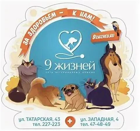 9 жизней рязань сайт. Ветклиника 9 жизней рязань. 9 жизней рязань сайт. Девять жизней ветклиника архангельск. Ветклиника 9 жизней рязань на татарской.