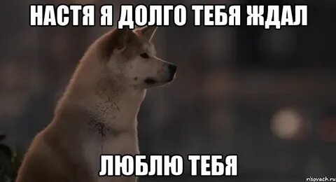 Тебя много ждал