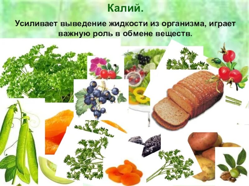 Как убрать жидкость из тела. Продукты для выведения жидкости. вывод жидкости из организма. диета выводящая жидкость из организма.