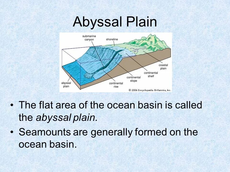 Flat area. Абиссаль океан. Abyssal Zone. Абиссаль Сайорс. Абиссаль поверхность.