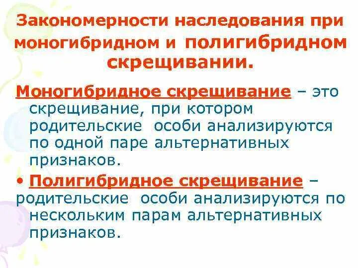 Моногибридное скрещивание полигибридное скрещивание. Закономерности наследования моногибридное скрещивание схема. Закономерности наследственности при моногибридном скрещивании. Закономерности наследования при полигибридном скрещивании. Закономерности наследования при моногибридном.