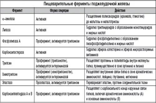 Пищеварительные ферменты поджелудочной железы таблица. Поджелудочная железа функции ферментов таблица. Ферменты поджелудочной железы и их функции. Функции пищеварительных ферментов поджелудочной железы.