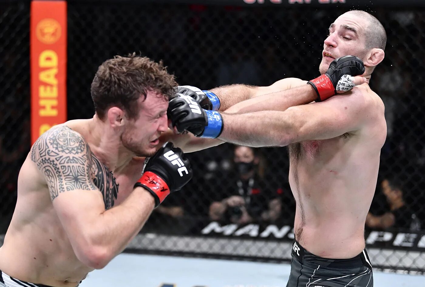 Ufc fight night 237 трансляция. Блейдс боец юфс. Ufc 175 weidman vs. Джек херманссон шон стрикленд. Ufc fight night 237 трансляция.