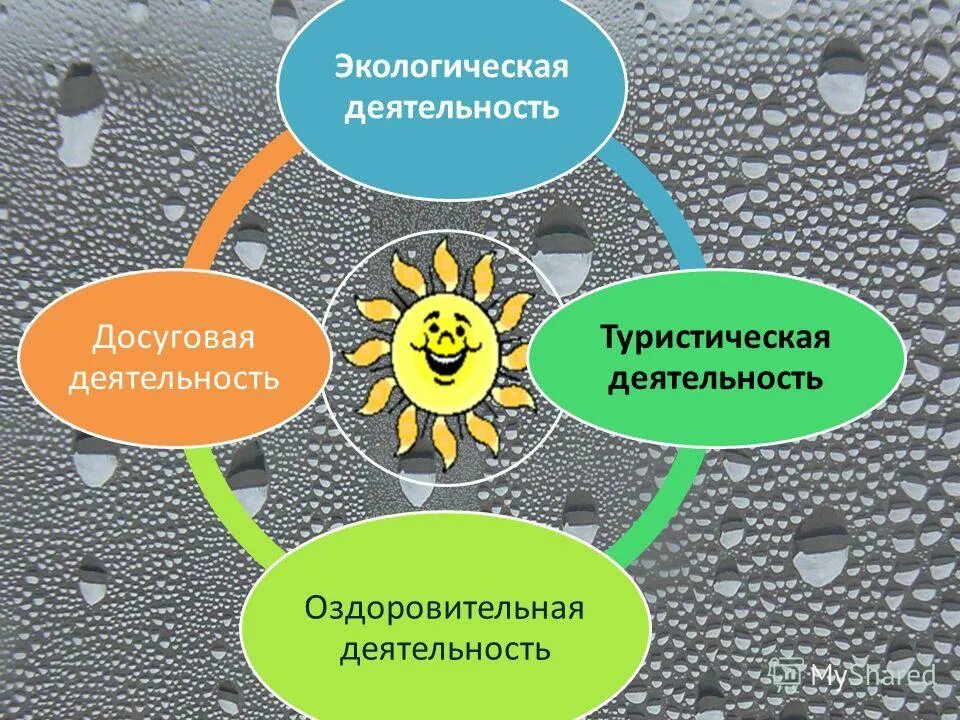 Результаты природоохранной деятельности. Экологическая деятельность. Природоохранная деятельность. Гражданская экологическая деятельность. Текущая природоохранная деятельность.