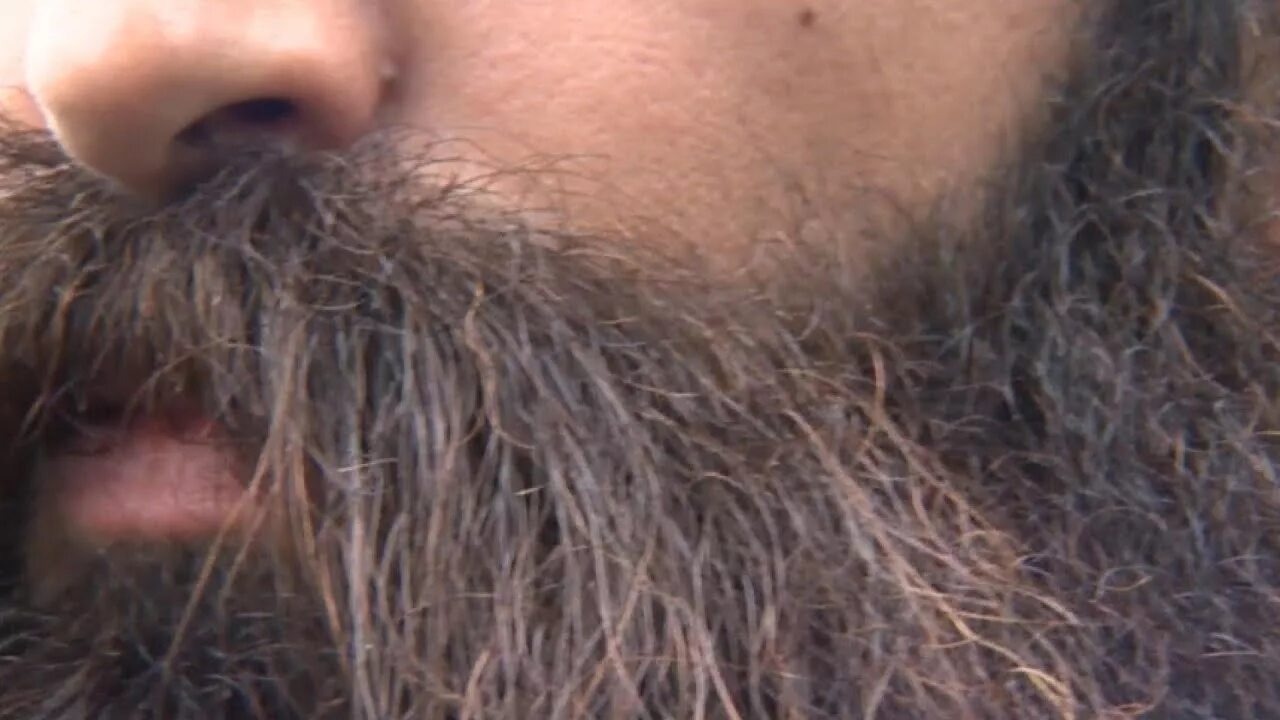 Нечистая борода. Мужчина с грязной бородой. Dirty than