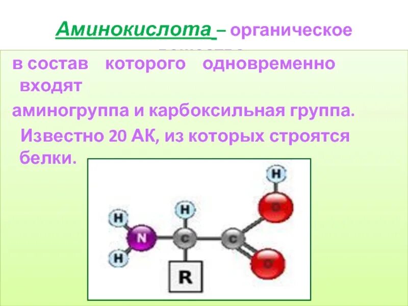 Аминокислоты органическая химия. Белки аминокислотный состав белков. Структура белков классификация аминокислот входящих в состав белков. Аминокислоты входящие в состав белков формулы. Состав аминокислот не входит.