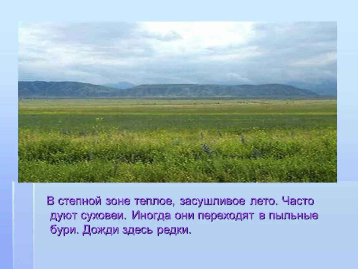 Какие природные зоны есть в степи. Степи окружающий мир. Зона степей. Степь презентация. Что такое степь 4 класс.