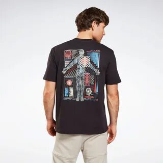 T me dailybins нидерланды