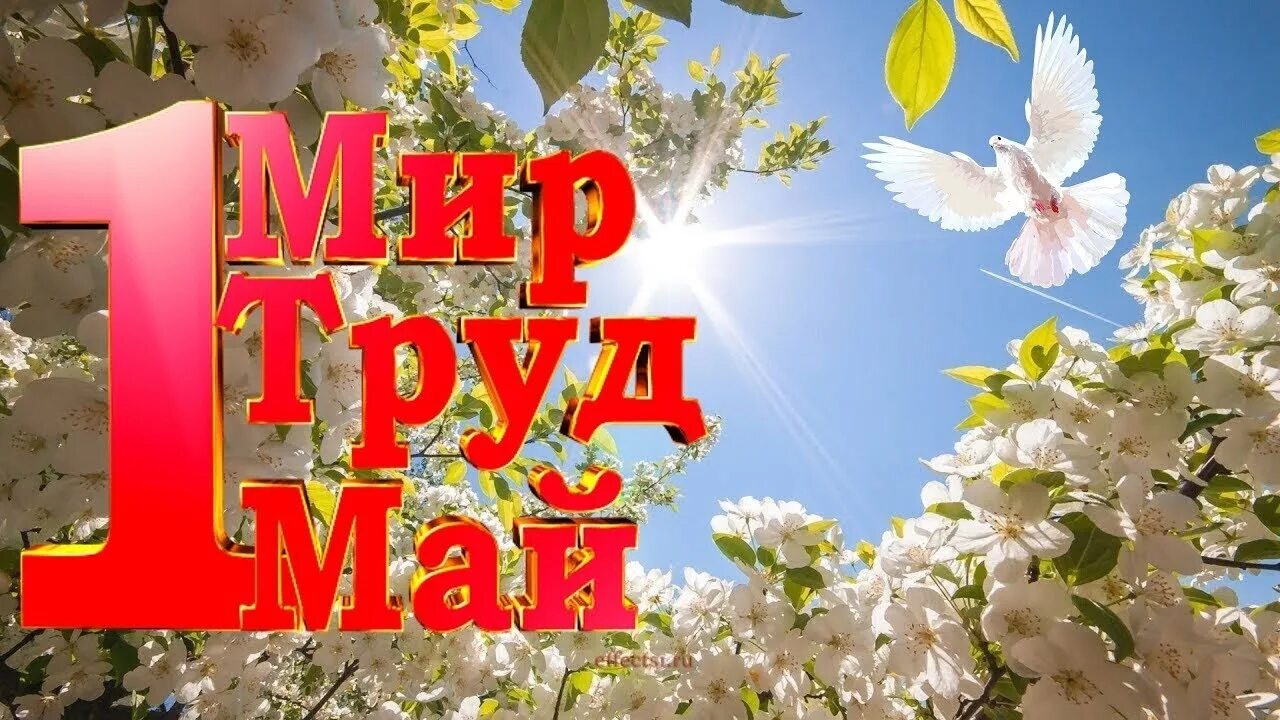 Открытки с 1 мая. С праздником 1 мая день весны и труда. Мир труд май картинки. День весны и труда открытка.