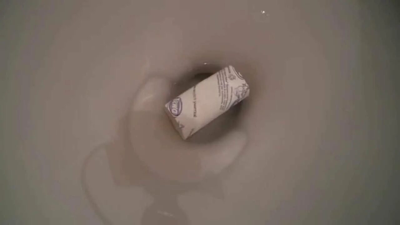 Можно ли смывать в унитаз туалетную бумагу. Втулка для унитаза. Смывающаяся втулка туалетной бумаги. Втулка Zewa. В унитазе смывается втулка Zewa.
