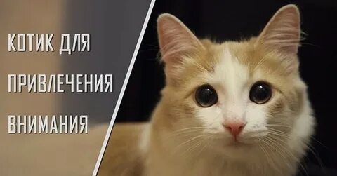 Пост привлечение внимания