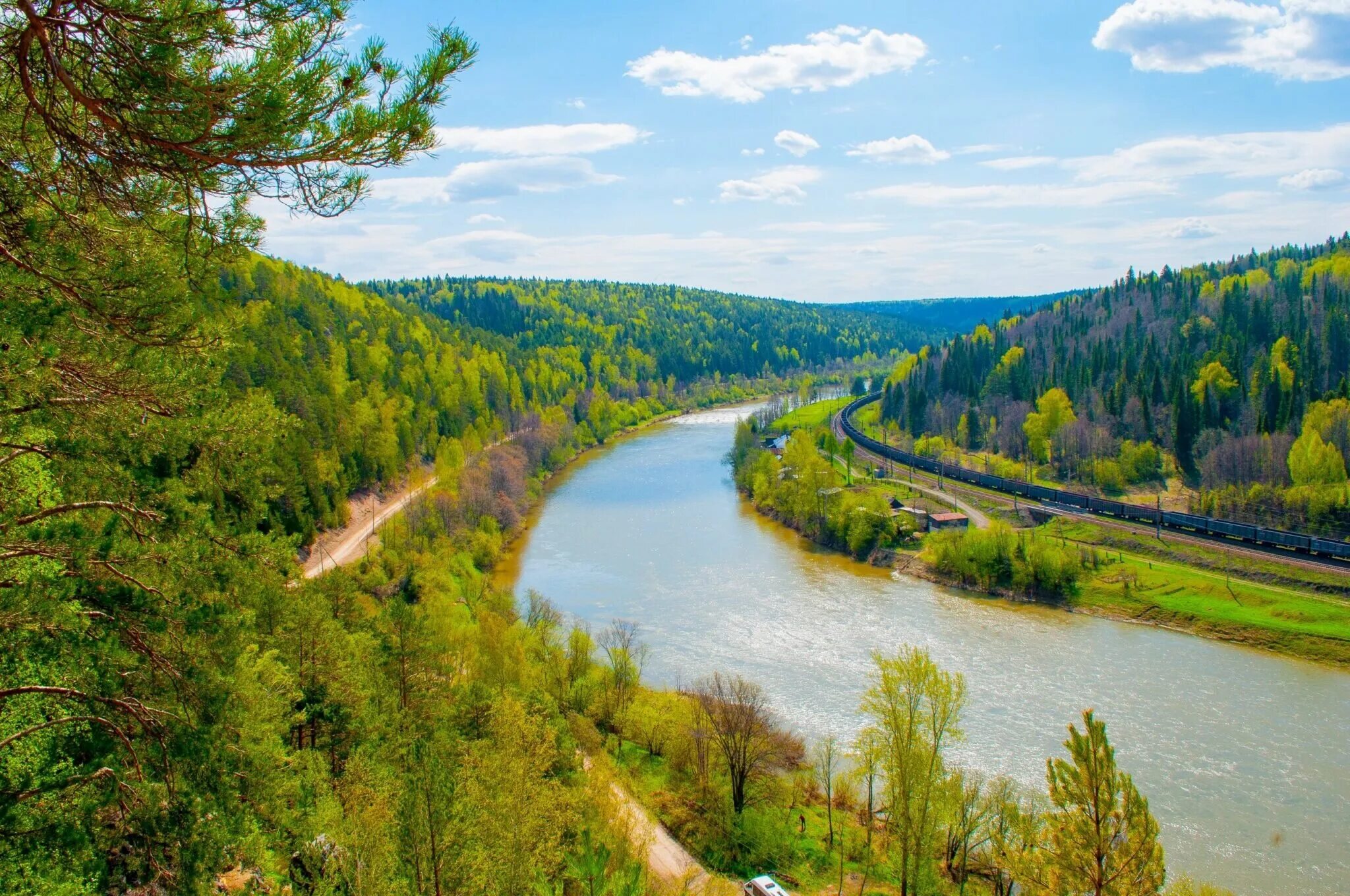 Кедры на сылве пермь