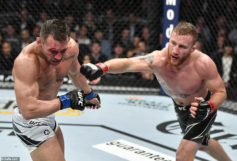 Ufc 5. Юфс 2021. Макгрегор порье. Бой дастина порье и оливейра. Бой дастина порье и оливейра.