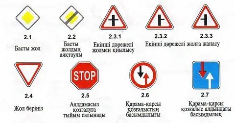 Жыныс мүшесін енгізу