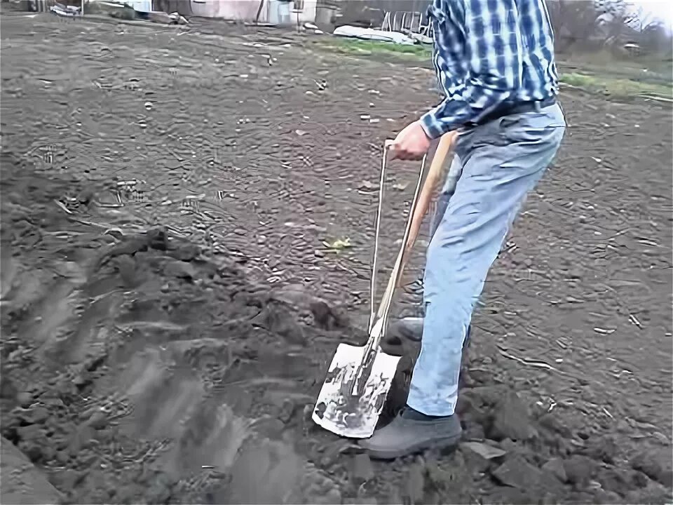 Лопата легко копать. Лопата легко копать. Чудо лопата пахарь. Лопата траншейная 17162. Лопата для копки огорода.