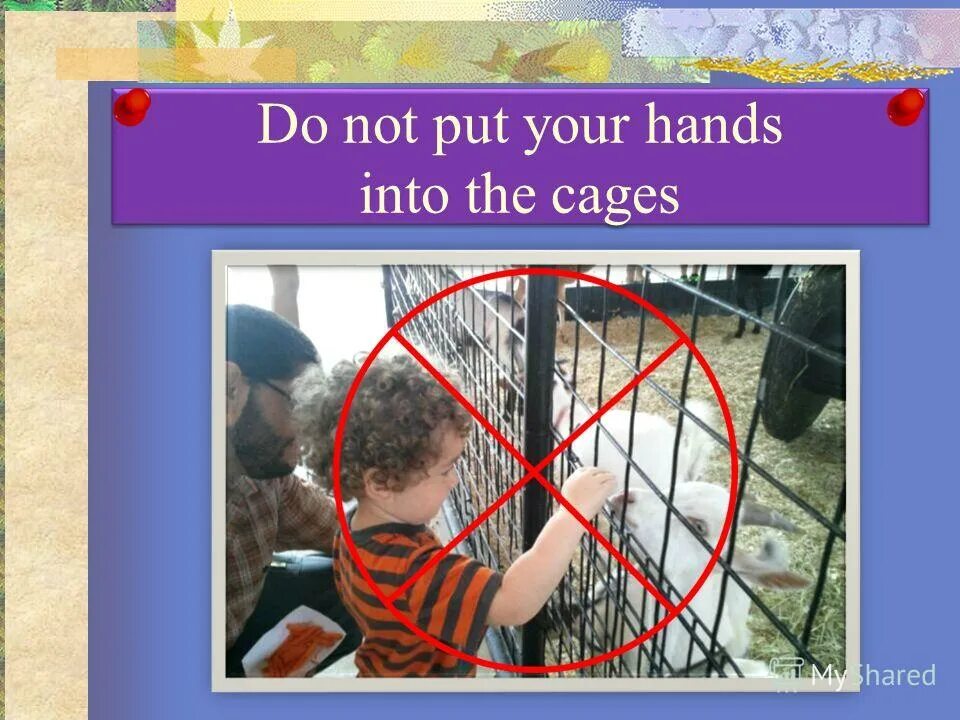 рука ладонь. Into your hands. Oh my heart. протянутые ладони. Take the law into your own hands idiom.