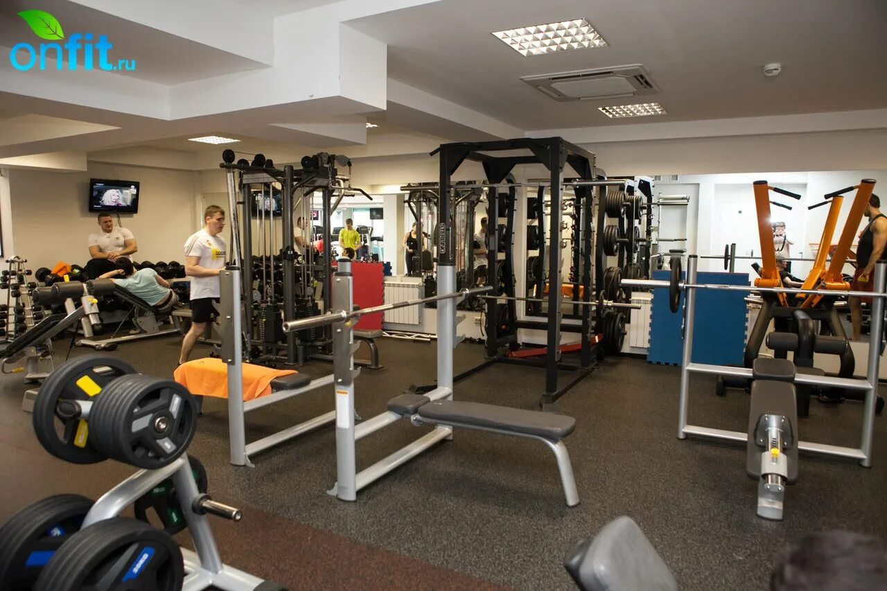 геркулес спортивное питание. геркулес новочебоксарск. новочебоксарск, улица винокурова 101. энгельса 14 новосибирск. магазин геркулес бишкек.