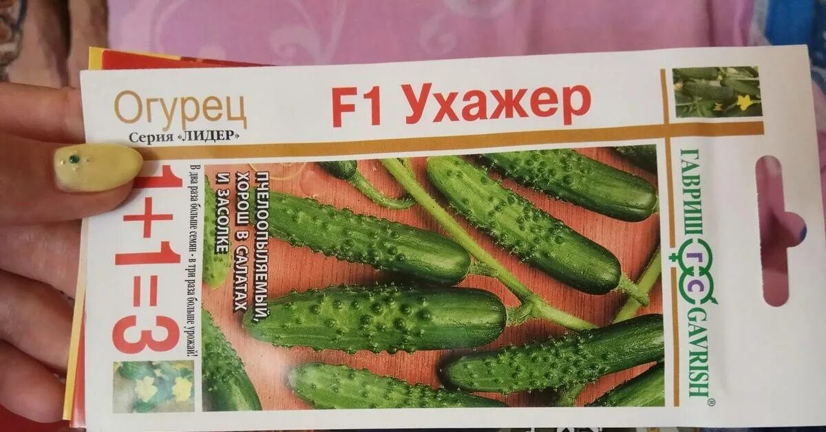 Огурец ухажер f1 10шт/10. Огурцы ухажер отзывы садоводов. Огурцы ухажер отзывы садоводов. Огурец атлет семена. Огурец хрустик гавриш.