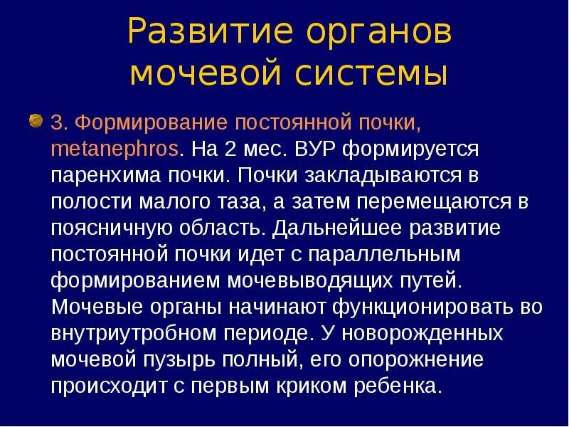 Развитие мочевой системы. Развитие органов мочевыделительной системы. Основные этапы развития мочеполовой системы. Источник развития мочевыделительной системы.