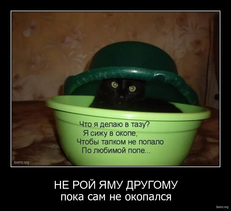 окоп для пулеметчика. песня сижу в окопе. солдаты отдыхают. барыга тюряга. влюбленные на войне.