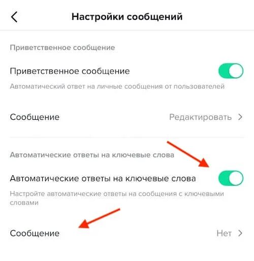Не отправляются сообщения в тик токе. Приветственное сообщение. Как включить сообщения в тик токе. Голосовое сообщение в тик токе. Как настроить сообщения в тик токе.
