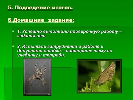 Выполнил проверочное