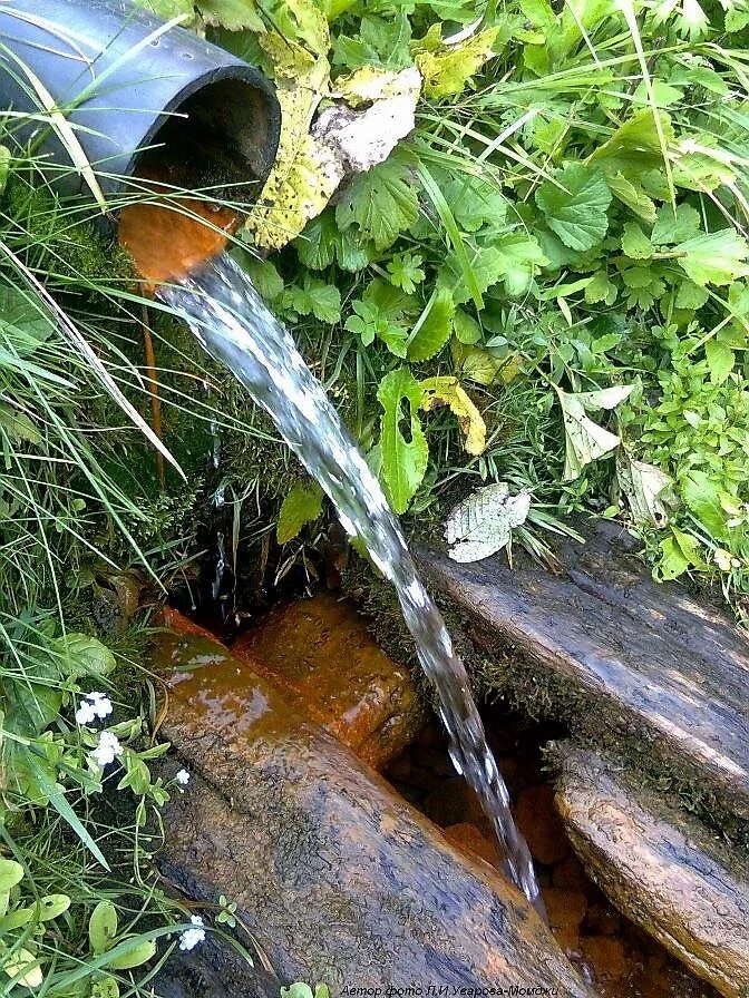 После родник. Родникик. Родник в селе. Родниковая вода. Родниковая вода в лесу.