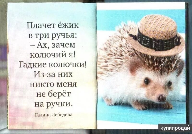 Высказывания про ежа. Цитаты ежика в тумане и медвежонка. Фразы из ежика в тумане. Цитаты про ежиков. Еж прикол.