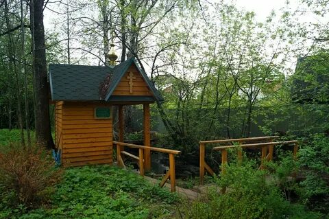 Васильевский родник
